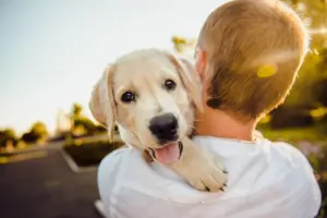 dog dental care